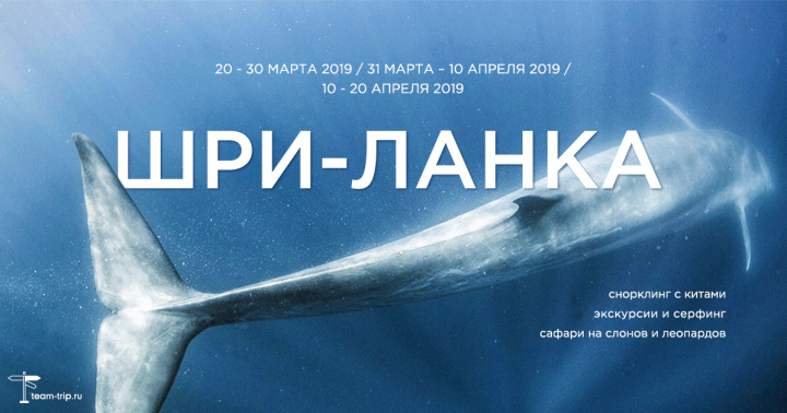 Баннер для соцсетей
