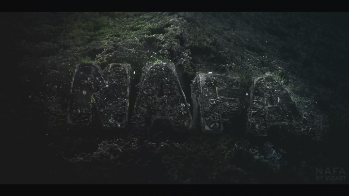 NAFA2 (3D Art)