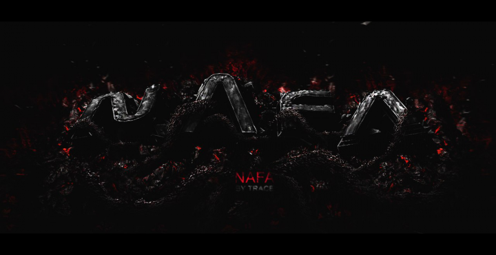 NAFA (3D Art)