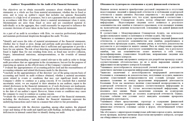 Аудиторский отчет (часть)