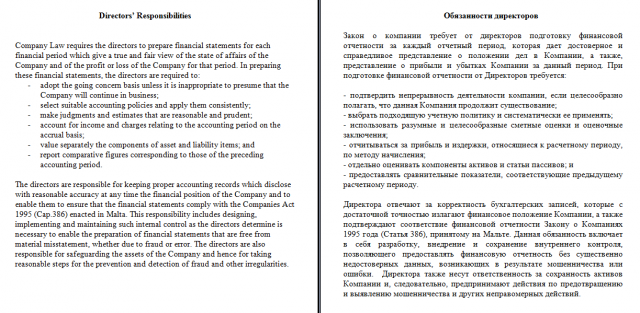 Финансовая отчетность (Обязанности директоров)