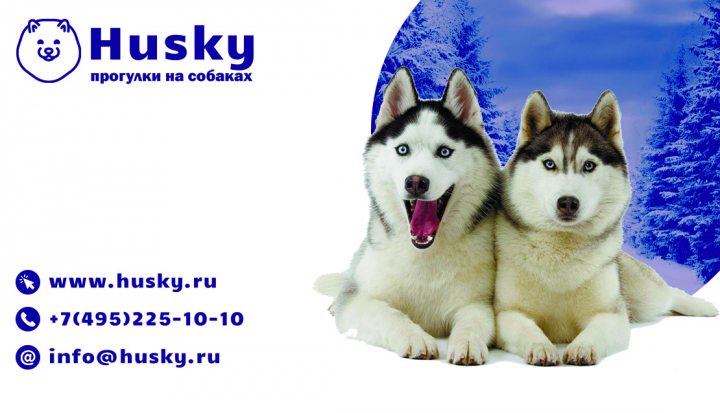 Визитка