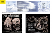 Обложки музыкальных альбомов