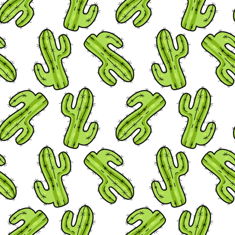 Cactus pattern