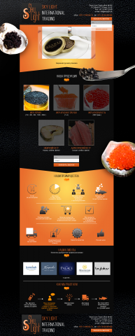 Web Site SKY LIGHT