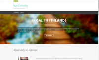 wordpress, landing page