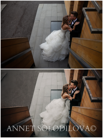 Работа 3815009