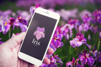 Iris logo