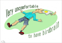 Birdbrain