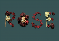 Typography