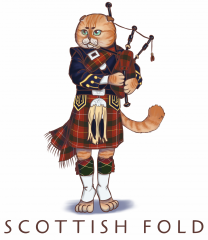 Scottish fold