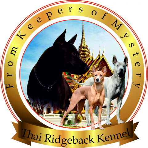 Разработка логотипа для питомника