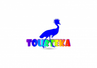 Работа 1753139