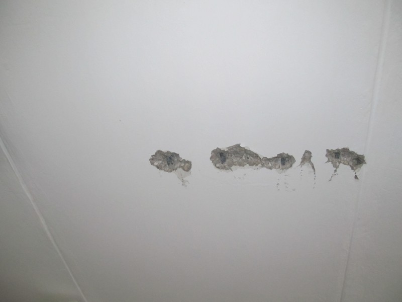 pic2910730.jpg