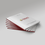 РАНХиГС Brandbook