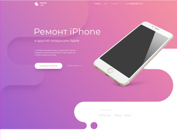 Landing Page. Repair Apple