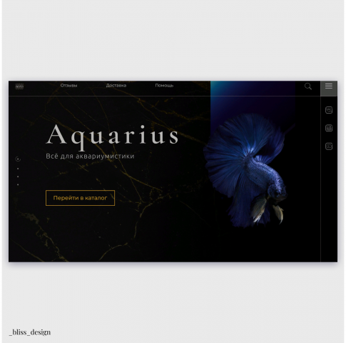 Aquarius