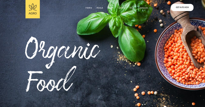 Organic Food