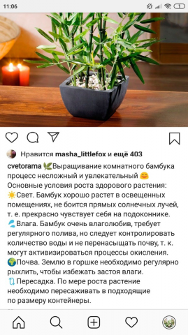 Пост. Тема - флористика, уход за домашними растениями.