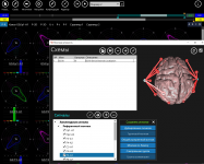 Мозговая активность