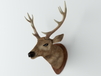 Голова Оленя