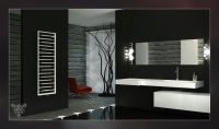 WC (3D+flash)