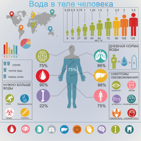 инфографика