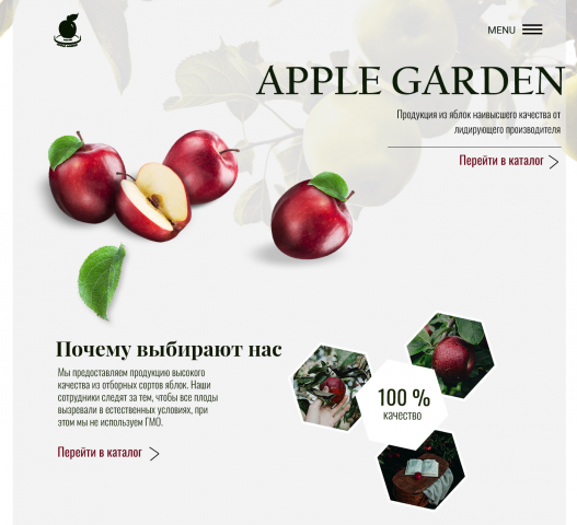 Дизайн Landing Page