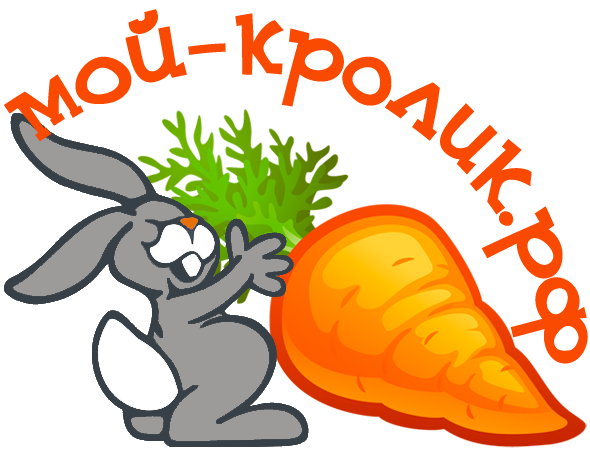 Разработака логотипа