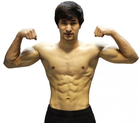 Портфолио бойца MMA