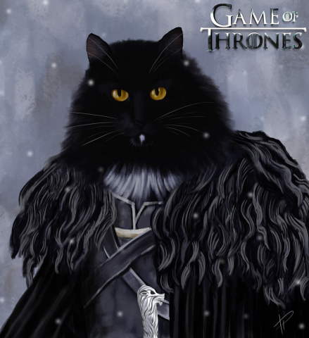 Атос (Джон Сноу)