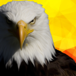 Работа 2668795