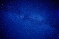 Работа 2668968