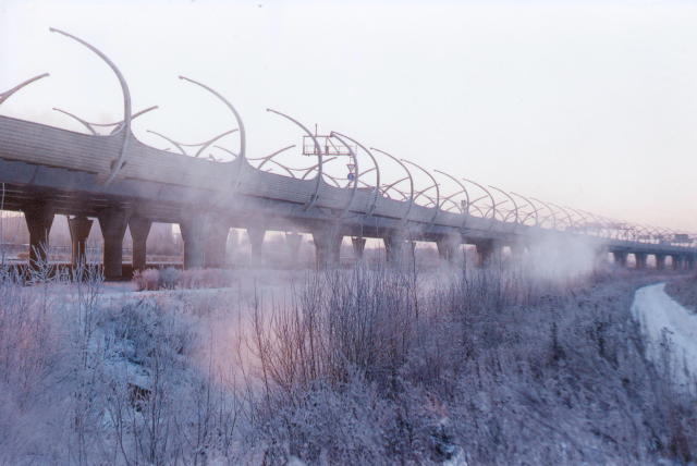 Пленка