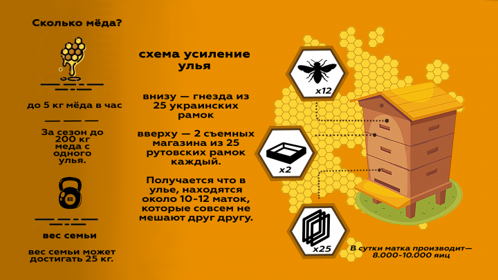 Работа 3815067