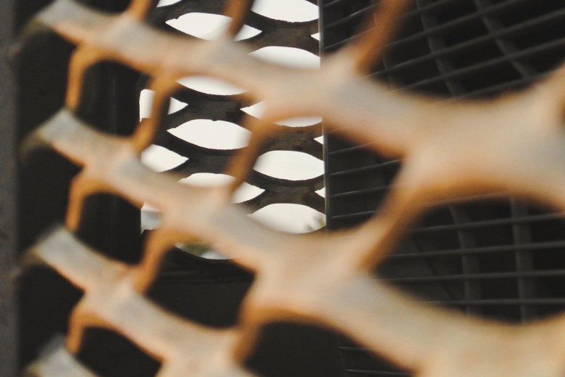 pic3720206.jpg