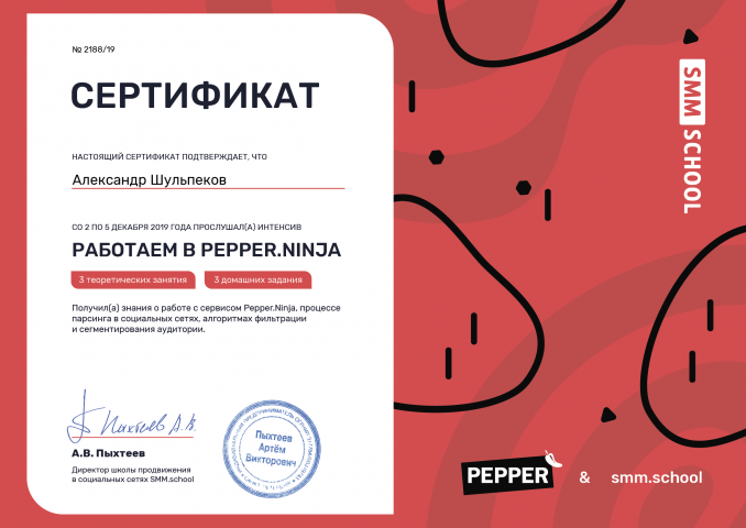Сертификат курса Paper Ninja