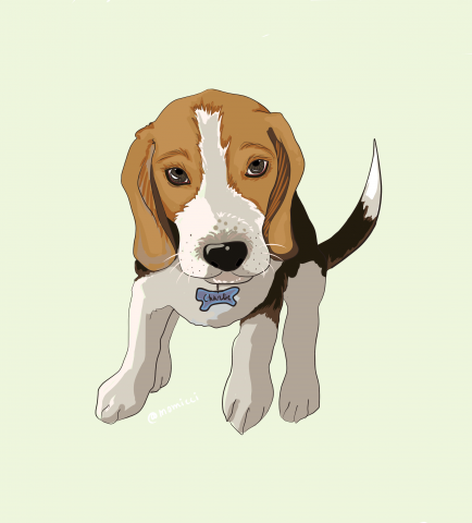 beagle