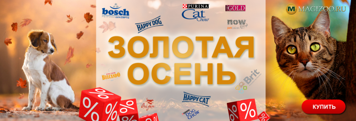 Баннер для интернет магазина