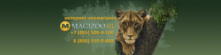Шапка для группы социальной сети