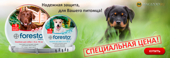 Баннер для интернет магазина