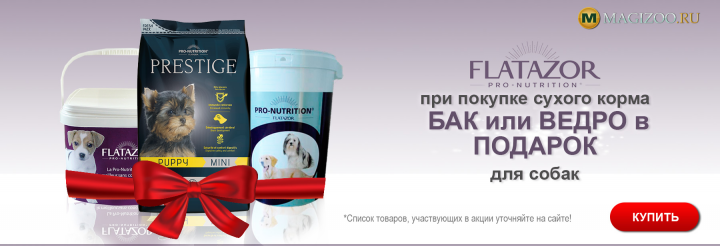 Баннер для интернет магазина