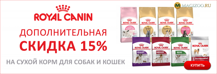 Баннер для интернет магазина