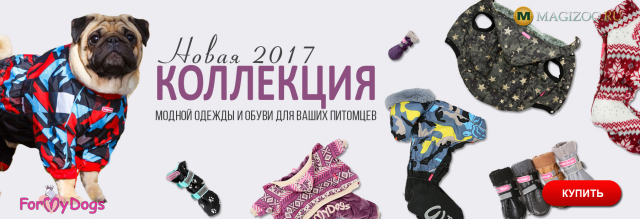 Баннер для интернет-магазина