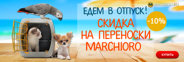 Баннер для интернет-магазина