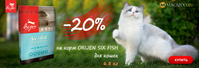 Баннер для интернет-магазина