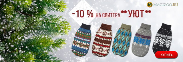 Баннер для интернет-магазина