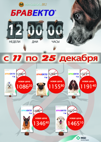 Плакат формата А3