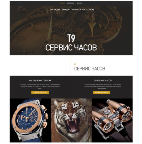 T9 Сервис дорогих швейцарских часов.
