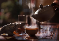 Работа 1017264